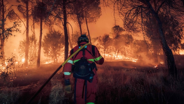 Einsatzkräfte beim Kampf gegen einen Waldbrand im Juli nahe Navas del Rey, rund 55 Kilometer ...