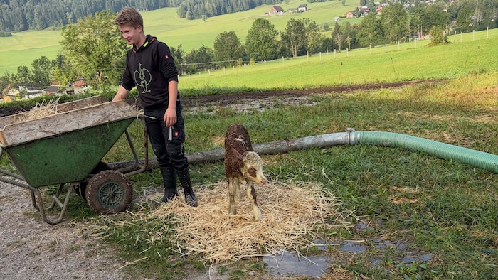 Dem Kalb geht es gut.