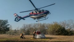 Waghalsige Flugmanöver brachten Wasser in die Lobau.