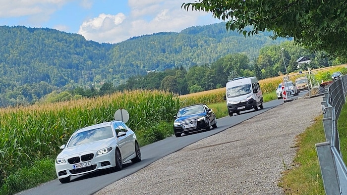Eine Fahrspur geht dem Maisfeld entlang.