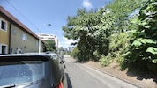 Ein Mann folgt einer Frau auf dem Heimweg in Meidling, zerrt sie hier ins Gebüsch – und stürzt ...
