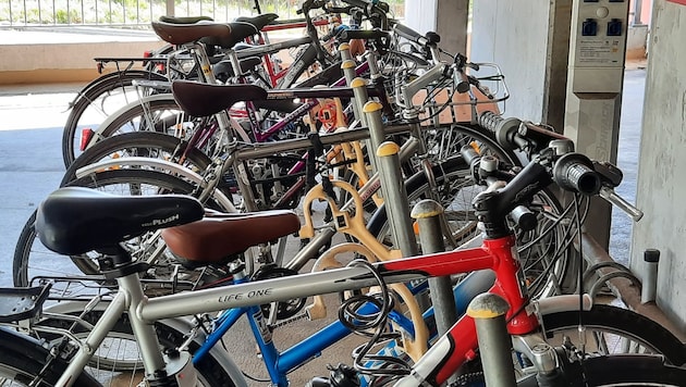 Neun Diebe und Diebinnen erbeuteten mindestens sieben Fahrräder.