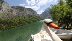 Die Steiermark hat auch herrliche Plätze zum Abkühlen, hier der Leopoldsteinersee.