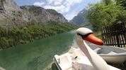 Die Steiermark hat auch herrliche Plätze zum Abkühlen, hier der Leopoldsteinersee.