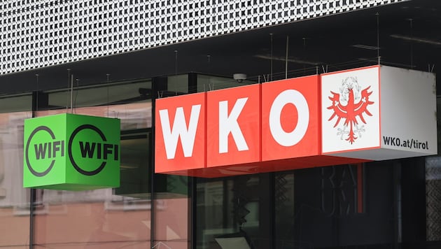 Die Wirtschaftskammer ist wieder einmal unter Beschuss – dieses Mal von der ...