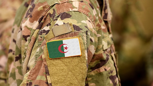 Nach rund zwei Wochen Gefangenschaft konnte der Deutsche von der algerischen Armee befreit ...