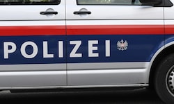 Der 23-Jährige wurde auf freiem Fuß angezeigt.