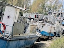 Gespenstische Bilder: Hochwasser-Anschwemmungen und die Trockenheit haben ihnen den Hafen ...