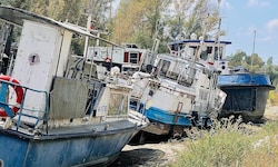 Gespenstische Bilder: Hochwasser-Anschwemmungen und die Trockenheit haben ihnen den Hafen ...