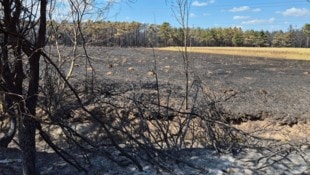 Nach fünf Tagen konnte im Föhrenwald „Brand aus“ gegeben werden.
