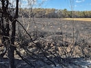 Nach fünf Tagen konnte im Föhrenwald „Brand aus“ gegeben werden.