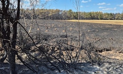 Nach fünf Tagen konnte im Föhrenwald „Brand aus“ gegeben werden.