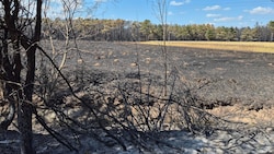 Nach fünf Tagen konnte im Föhrenwald „Brand aus“ gegeben werden.