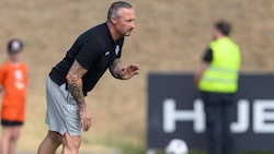 Sehr zufrieden mit dem violetten Saisonstart: Austria-Coach Schaider.
