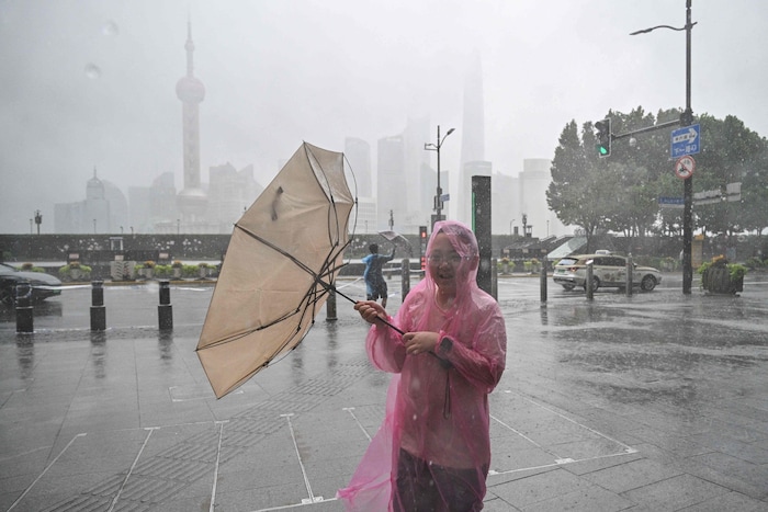 In Shanghai brachte „Dolphin“ ein Verkehrschaos.