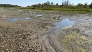Der „Wildbadeplatz Mühlleiten“ verdient seinen Namen nicht mehr.