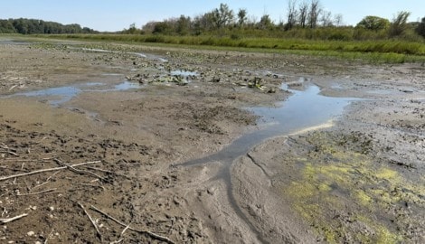 Der „Wildbadeplatz Mühlleiten“ verdient seinen Namen nicht mehr.