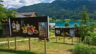 Die Ausstellung zeigt Fakten, Tipps und Erfahrungsberichte rund um das Wegwerfen auf.