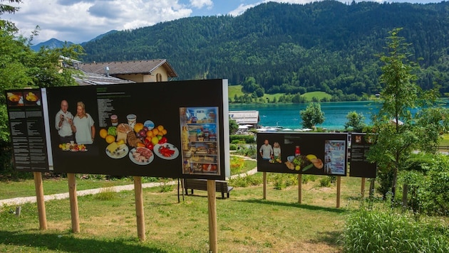 Die Ausstellung zeigt Fakten, Tipps und Erfahrungsberichte rund um das Wegwerfen auf.