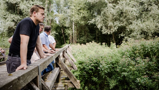 Grünen-Landesrat Stefan Kaineder beim Lokalaugenschein in Langenstein. Von dieser Brücke sind ...