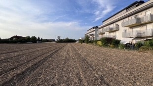 Noch besteht die Idylle der Natur. Genau dieses derzeit verdorrte Areal könnte verbaut werden.