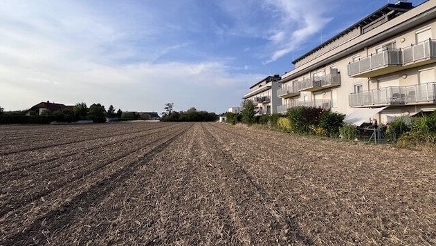 Noch besteht die Idylle der Natur. Genau dieses derzeit verdorrte Areal könnte verbaut werden.