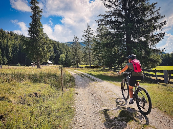 Auf der Kriemoos Alm oberhalb von Bad Goisern