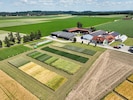 Die Saatbau Linz züchtet und produziert unter anderem Sojabohnen, wie am Standort in ...