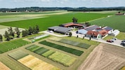 Die Saatbau Linz züchtet und produziert unter anderem Sojabohnen, wie am Standort in ...