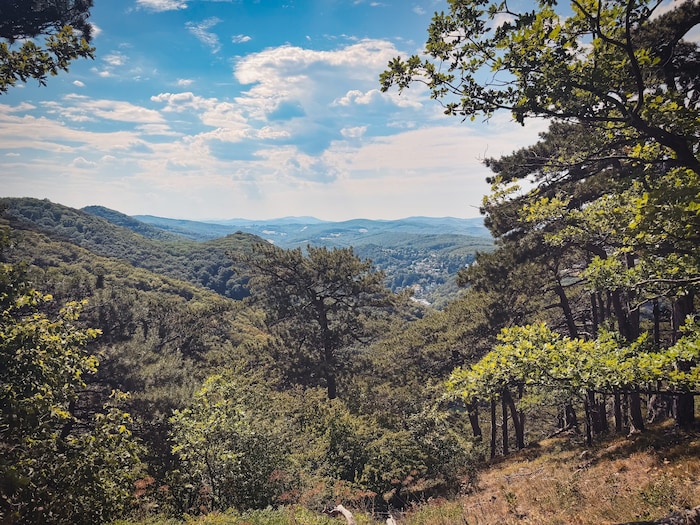 Herrliche Ausblicke auf den wunderschönen Wienerwald.