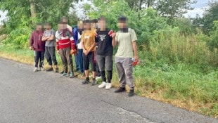 Immer wieder schlagen sich Migranten ins Burgenland durch.