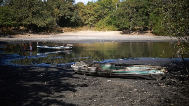 Der ausgetrocknete Hollow Pond im Osten von London – es ist in nächster Zeit kein Regen zu ...