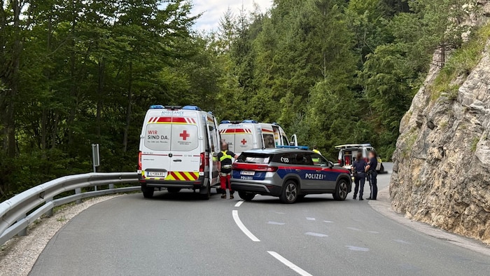Im Bereich einer Kurve kam es zum Unglück.