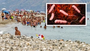 Bereits vor 21 Jahren haben italienische Forscher den Erreger Vibrio vulnificus (siehe 3D-Grafik ...