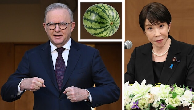 Australiens Premier Albanese ist sich sicher: Takaichi sei „eine Freundin“ von ihm.