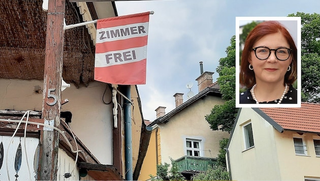 Birgit Auner Expertin für Konsumentenschutz in der Arbeiterkammer Steiermark.