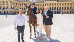 Stadtrat Peter Hacker (SPÖ, re.) hat eigentlich Angst vor Pferden. Doch beim braven Ponyhengst ...