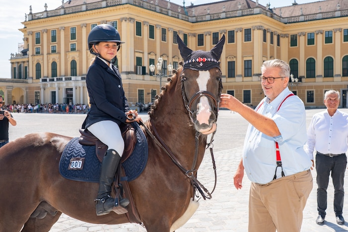 Streicheleinheiten für das Pony