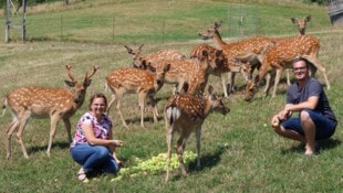Gerhard Hütmeyer Anita und Andreas Pichler mit ihrer Sikawild-Zucht. Laut EU-Verordnung sollen die Tiere erlegt ...