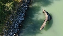 Im seichten Wasser ragen die Wracks aus der Donau.