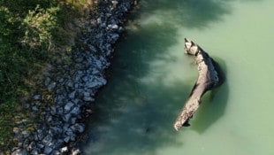Im seichten Wasser ragen die Wracks aus der Donau.