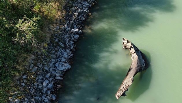 Im seichten Wasser ragen die Wracks aus der Donau.