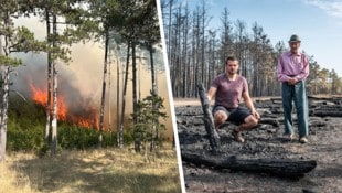 Krone KREATIV/Doris Seebacher, Freiwillige Feuerwehr Neunkirchen Der Waldbrand im Föhrenwald wütete vergangene Woche bei St. Egyden im Bezirk Neunkirchen. ...