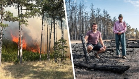 Der Waldbrand im Föhrenwald wütete vergangene Woche bei St. Egyden im Bezirk Neunkirchen. ...