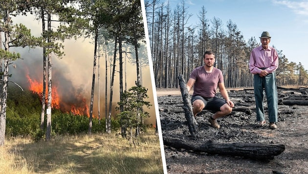 Der Waldbrand im Föhrenwald wütete vergangene Woche bei St. Egyden im Bezirk Neunkirchen. ...
