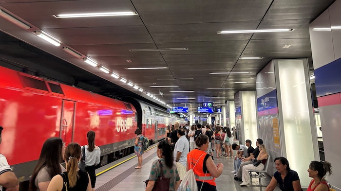 Zwischen Wien Mitte und Wien Geiselbergstraße wurde ein Schienenersatzverkehr eingerichtet ...