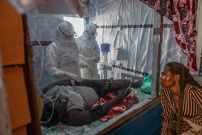 Das Ebola-Virus wird durch Körperkontakt und Kontakt mit Körperflüssigkeiten übertragen.