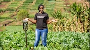 Kenia: Esther Kimani ist die Geschäftsführerin von „Farmer Lifeline“; KI hilft hier mit, die ...