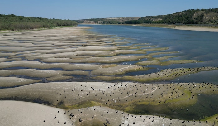 Auf dem ausgetrockneten Flussbett in Rumänien können Vögel spazieren.