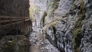 Selbst in der Alplochschlucht merkt man den Hitzesommer: Die Dornbirner Ach führt aktuell nun ...
